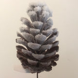Pine Cone Pick W/ Snow 10"