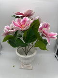 17” MAGNOLIA BUSH X 5 Beauty