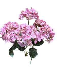 17" Hydrangea Bush Real Feel x 5 - Pink