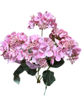 17" Hydrangea Bush Real Feel x 5 - Pink