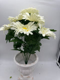 18” AFRICAN DAISY X 9 Cream