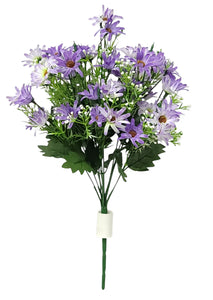 DAISY BUSH X 12 Purple