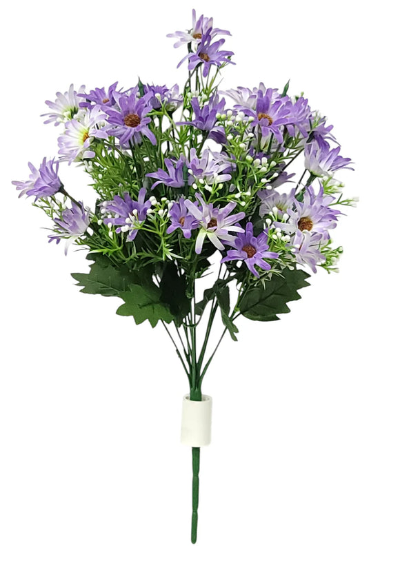 DAISY BUSH X 12 Purple