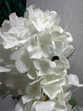 HYDRANGEA x 5 Cream