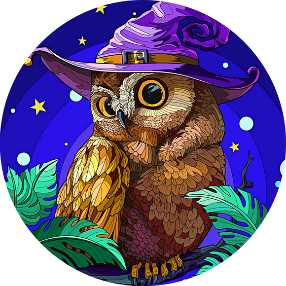 Wizardry Wise Owl  (Choose size)