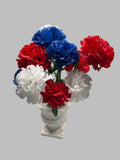 CARNATION BSHX12 Red, white, Blue