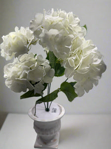 HYDRANGEA x 5 Cream