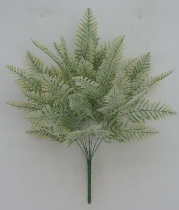 Flocked Leather Fern X10 21