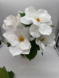 17” MAGNOLIA BUSH X 5  Cream