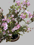 Mini Gypso Bush X12 Pink