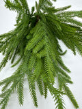 Norfolk Pine Real Touch 19"