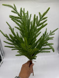 Norfolk Pine Real Touch 19"