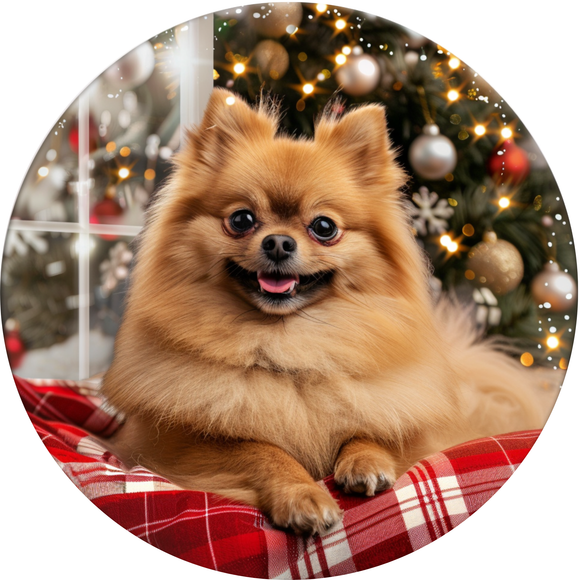 Christmas Pomeranian Metal Sign (Choose Size)