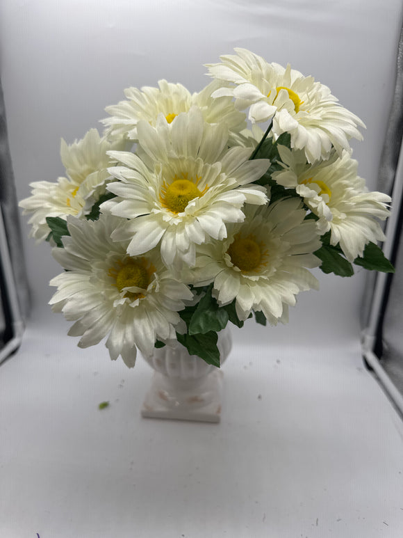 18” AFRICAN DAISY X 9 Cream