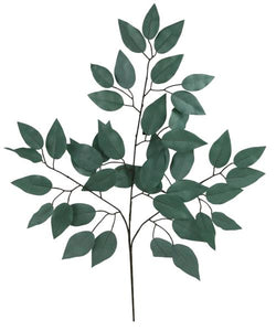 23"L Ficus Spray 12Pcs/Bdl, Sage Green