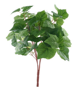 17.5"L Grape Leaf/Curl Bush X4 Green