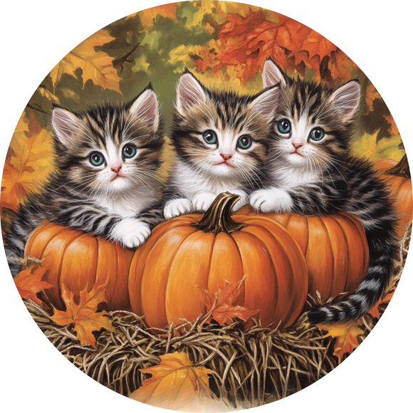 Fall Kitten Pumpkin Patch Metal Sign (Choose Size)