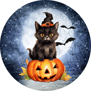 Halloween Kitten On Pumpkin Metal Sign (Choose size)