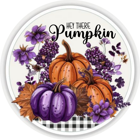 Hey There Pumpkin Metal Sign (Choose Size)