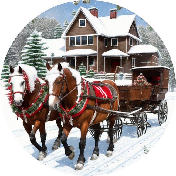 Horse Drawn Winter Carriage