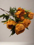 23" Peony Bush X9 Rust