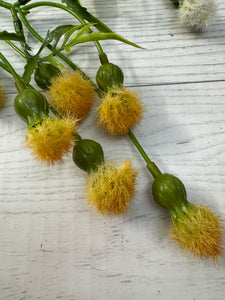 Dandelion Spray