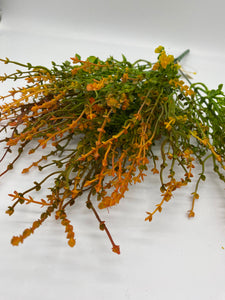 Plastic Fern Bush X9 Orange