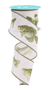 2.5"X10Yd Large Fresh Water Fish Cream/Green