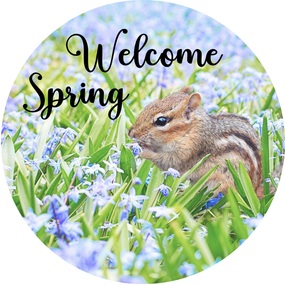 Welcome Spring Squirrel Metal Wreath Sign (Choose Size)