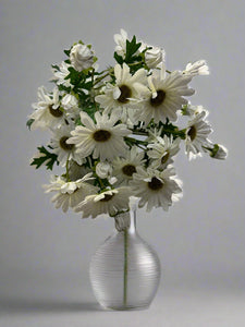 19" Wild Daisy Bush, White x 24 Blooms