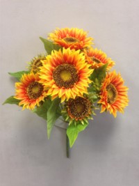 Sunflower Bush Orange x7
