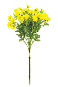 Marguerite Daisy Bundle Yellow 20" with 3 stems