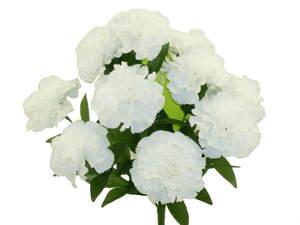17"White Color Fast Carnation Bush X11