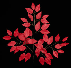 23"L Ficus Spray 12Pcs/Bdl, Red