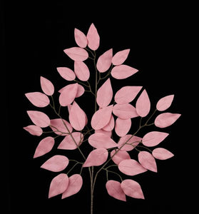 23"L Ficus Spray 12Pcs/Bdl, Rose Pink
