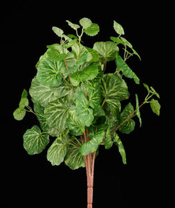 18"L French Begonia Bush Green