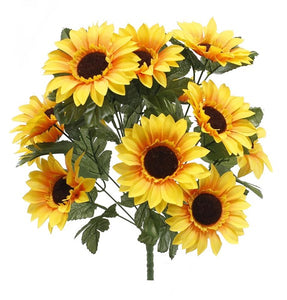 Sunflower Bush X14 Yellow