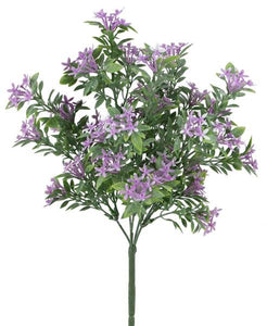 13"L Mini Star Flower Bush X 7 Lavender