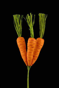 16"L Carrot Bundle X3 Tt Orange
