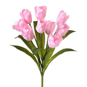 20" Tulip Bush X 9 Pink