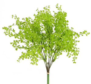 15"L Button Fern Bush Lt Green