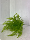 16" Fern Bundle
